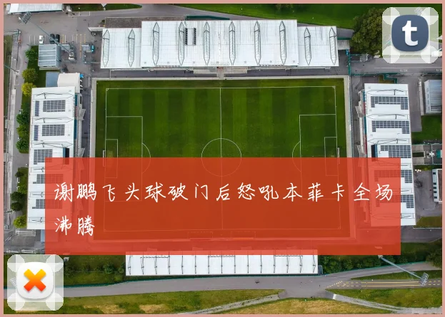 谢鹏飞头球破门后怒吼本菲卡全场沸腾