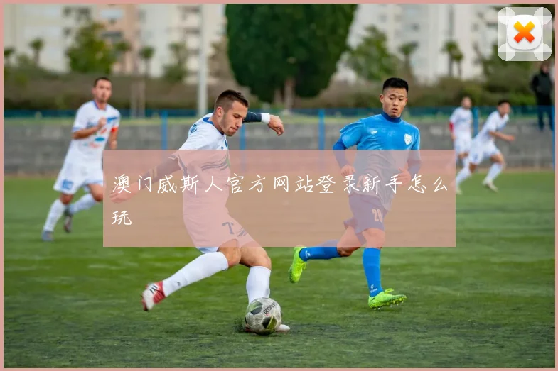 澳门威斯人官方网站登录新手怎么玩