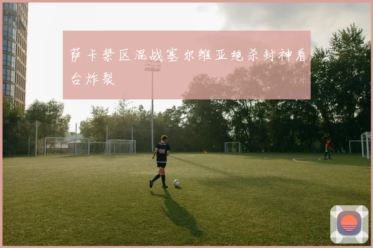 萨卡禁区混战塞尔维亚绝杀封神看台炸裂