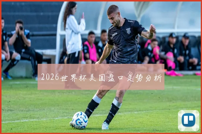 2026世界杯美国盘口走势分析